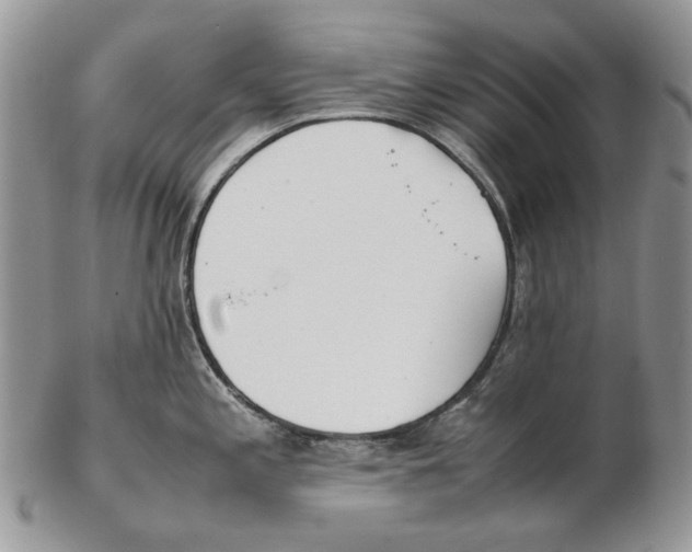X0000102251197200808221346