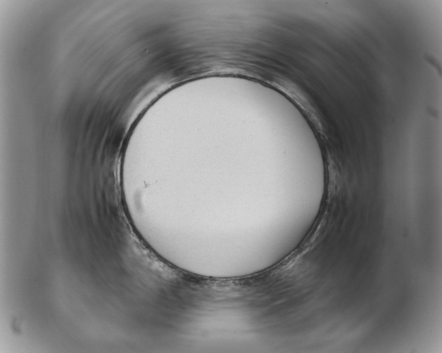 X0000102251198200808221346