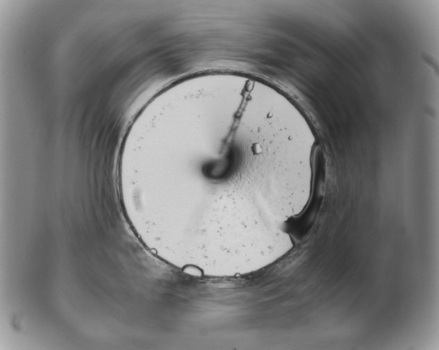 X0000102251199200808221346