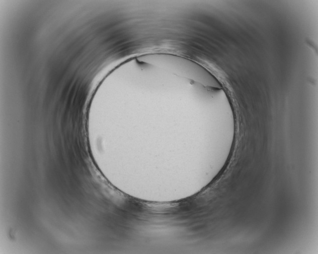 X0000102251200200808221346