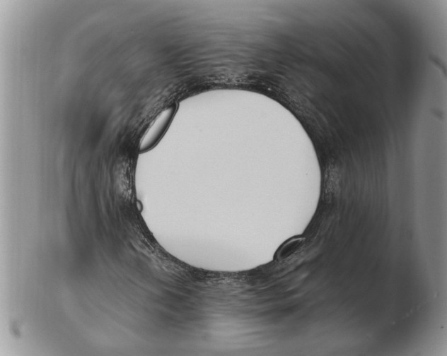X0000102251202200808221345