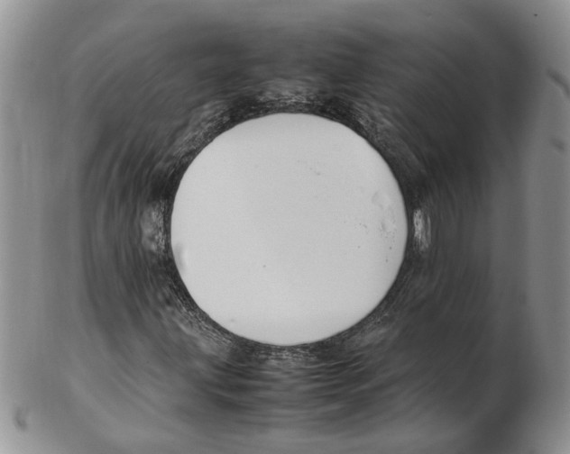 X0000102251203200808221345