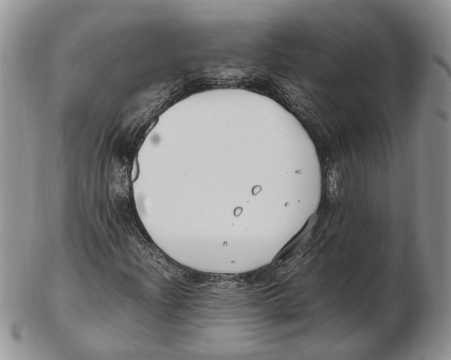 X0000102251204200808221345