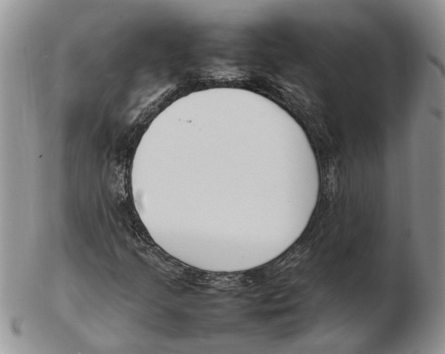 X0000102251205200808221345