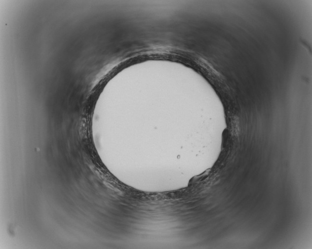 X0000102251208200808221345