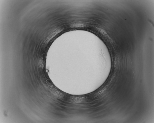 X0000102251209200808221345
