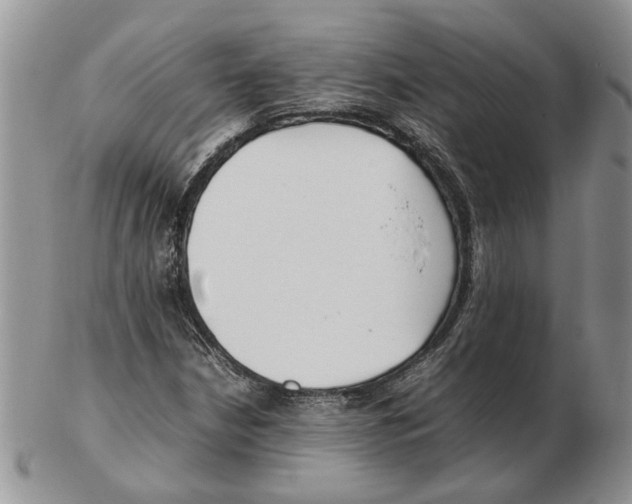 X0000102251210200808221345
