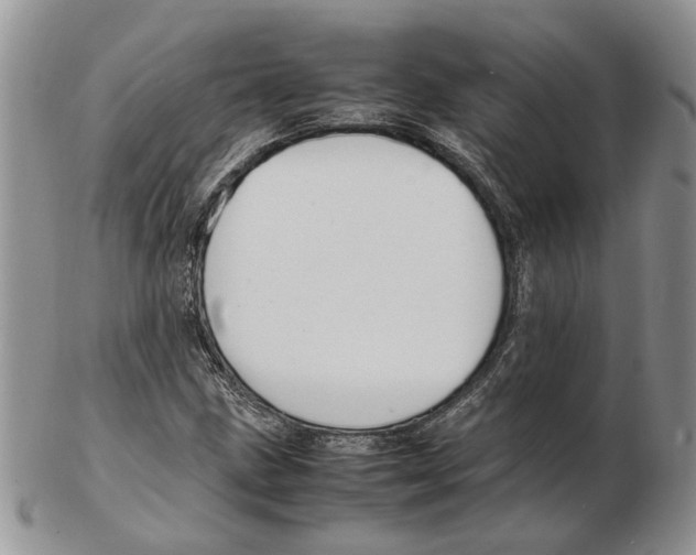 X0000102251211200808221345