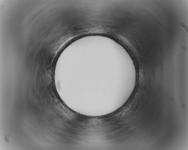 X0000102251212200808221345