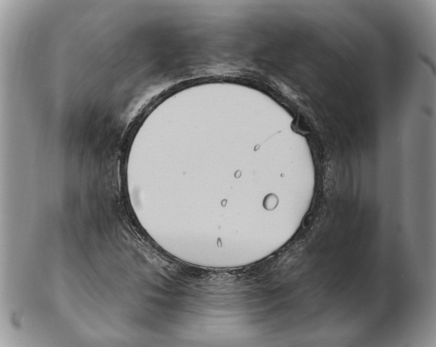 X0000102251214200808221345