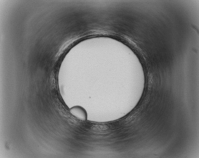 X0000102251215200808221345
