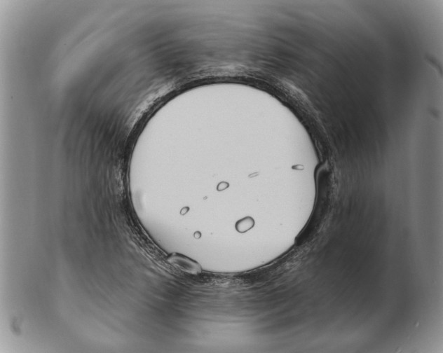 X0000102251218200808221345