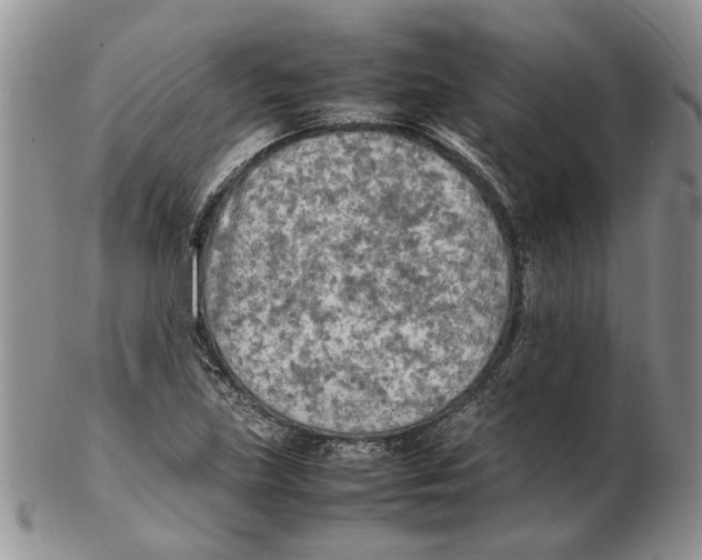 X0000102251219200808221345