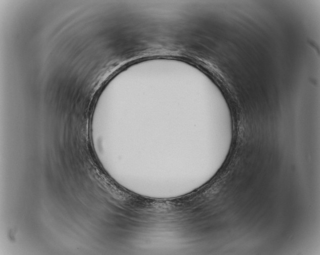 X0000102251220200808221345