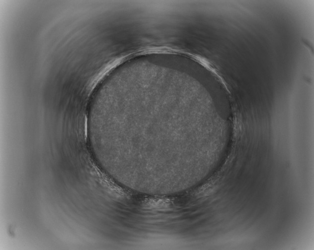 X0000102251221200808221345