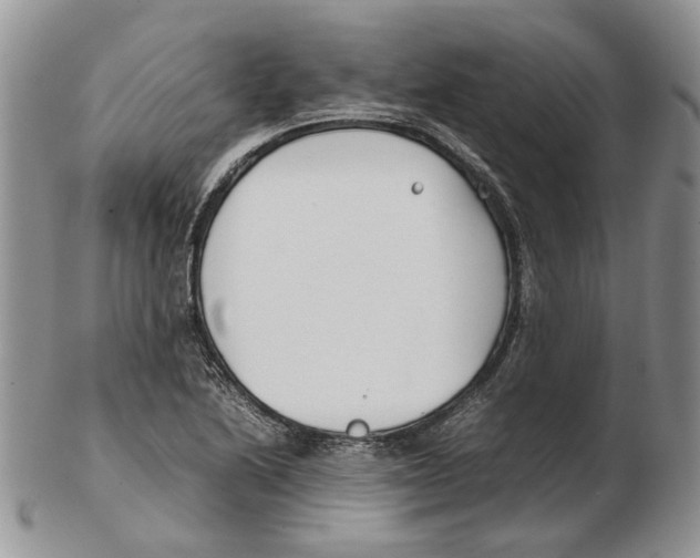 X0000102251222200808221345