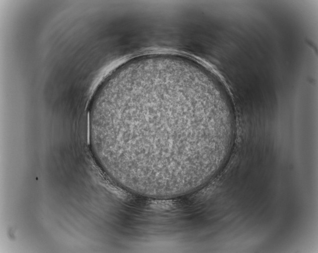 X0000102251223200808221345