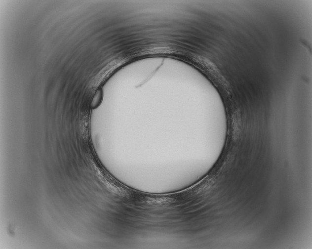 X0000102251225200808221345