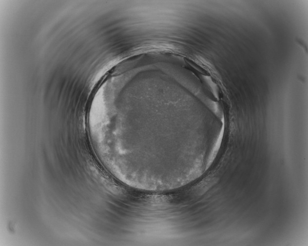 X0000102251226200808221345