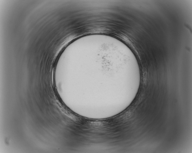 X0000102251227200808221345