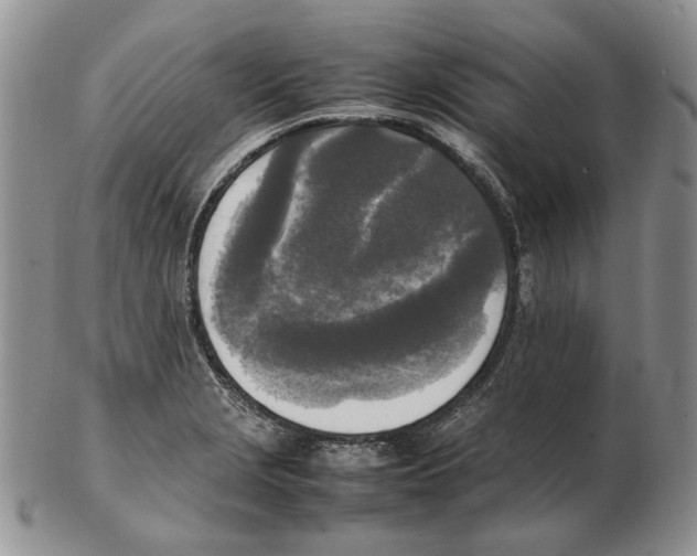 X0000102251229200808221345