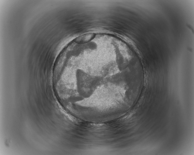 X0000102251231200808221345