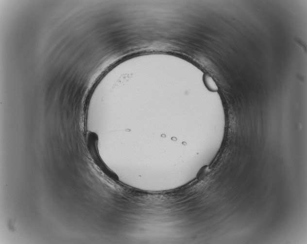 X0000102251232200808221345
