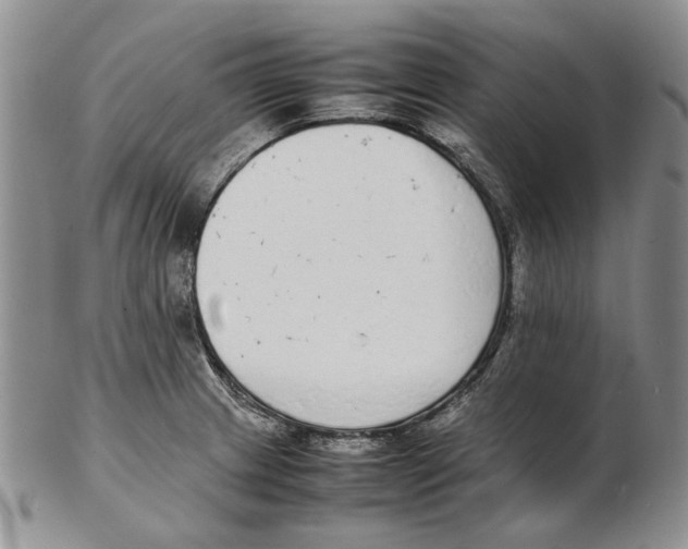 X0000102251233200808221345