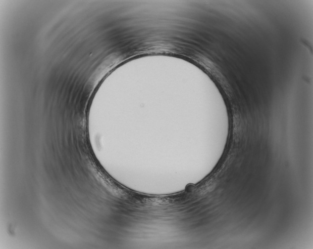 X0000102251234200808221345