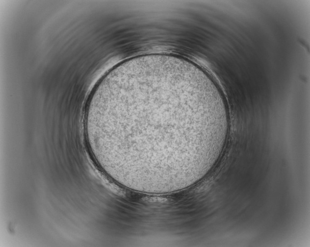 X0000102251235200808221345