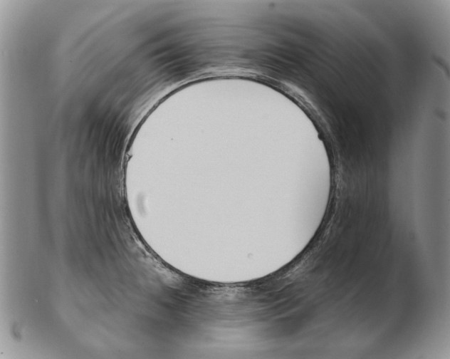 X0000102251236200808221345