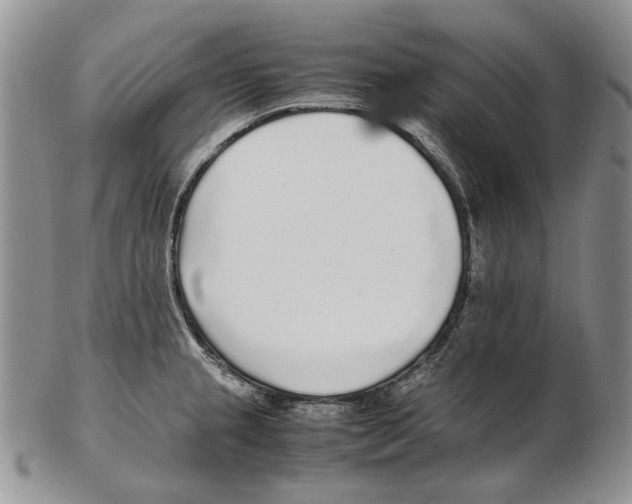 X0000102251237200808221345