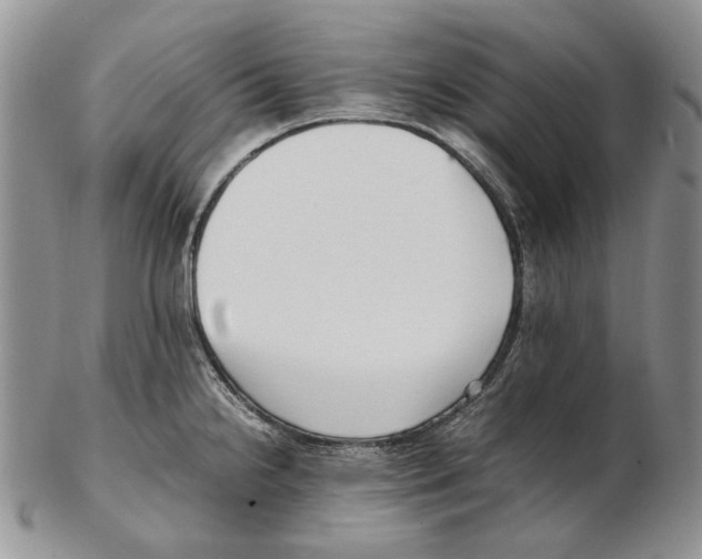 X0000102251238200808221345