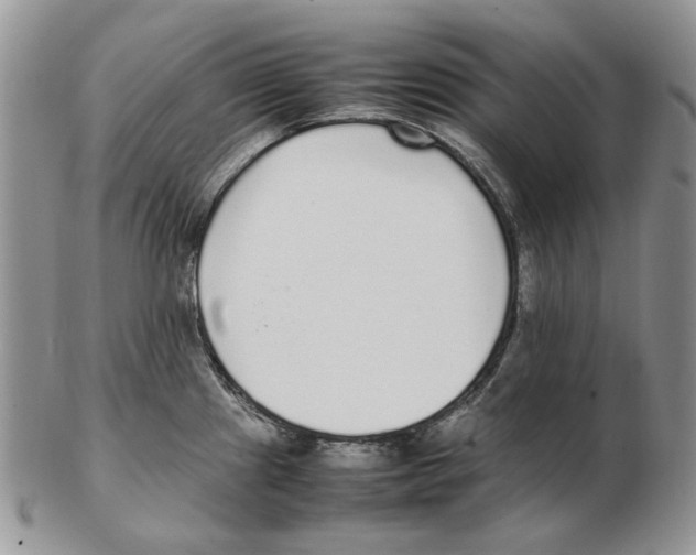 X0000102251241200808221345