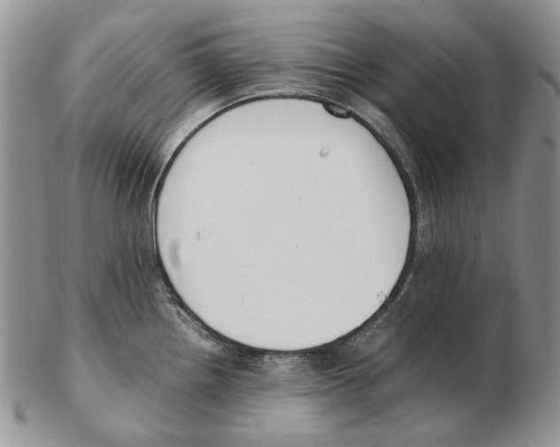 X0000102251242200808221345