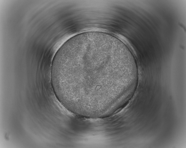 X0000102251244200808221346