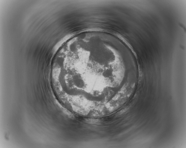 X0000102251245200808221346