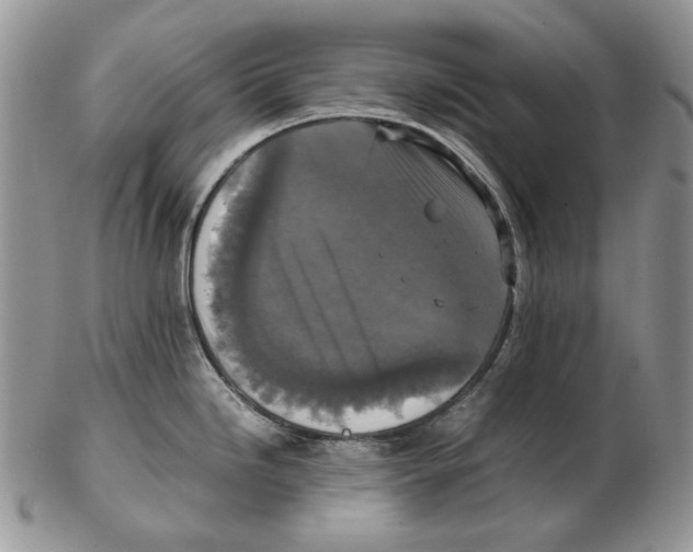 X0000102251246200808221346