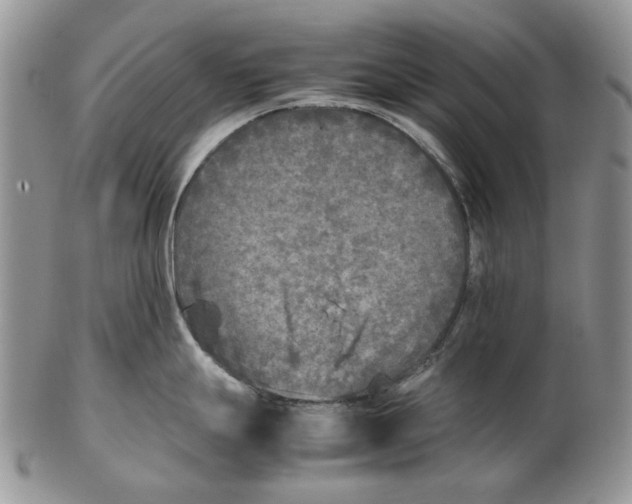 X0000102251247200808221346