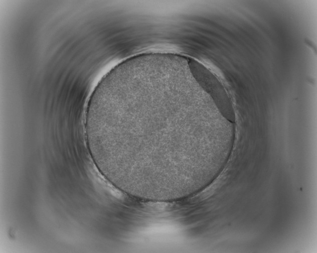 X0000102251248200808221346