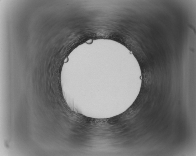 X0000102251249200808221345