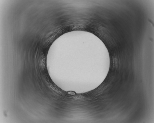 X0000102251250200808221345