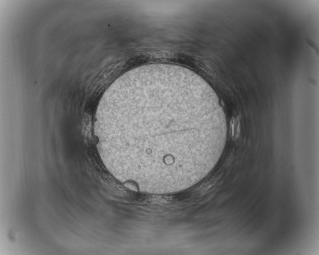X0000102251251200808221345
