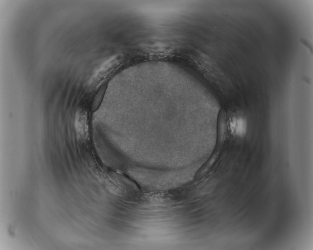 X0000102251252200808221345