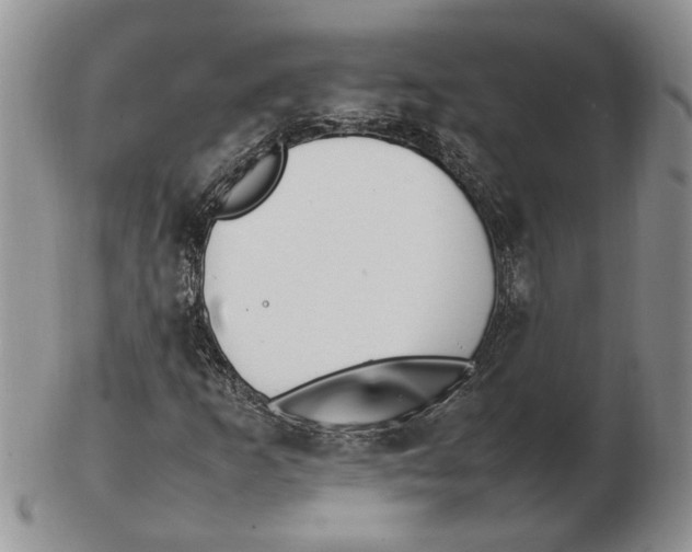 X0000102251253200808221345