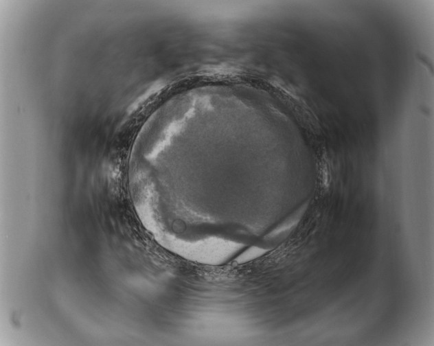 X0000102251254200808221345