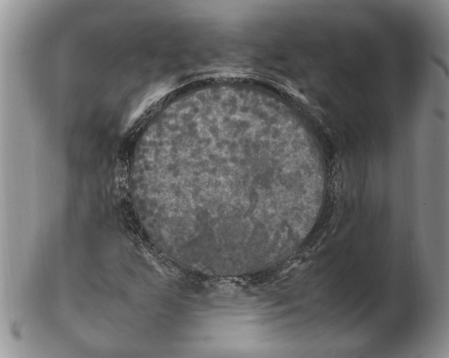 X0000102251255200808221345