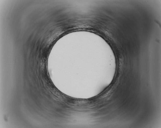 X0000102251257200808221345