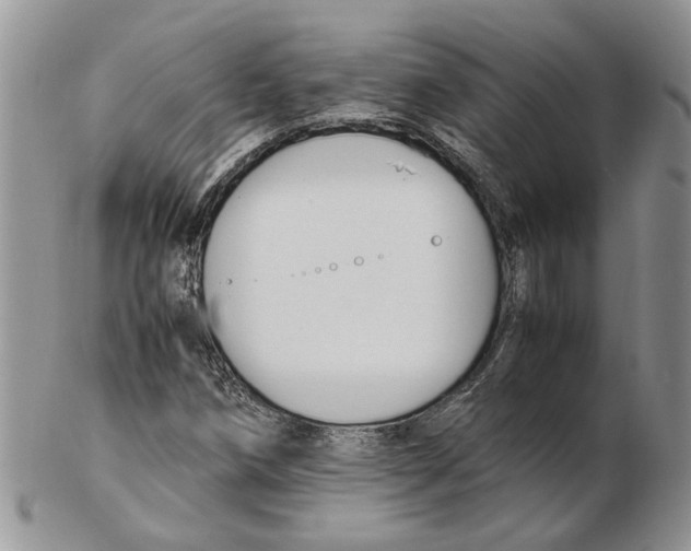 X0000102251258200808221345