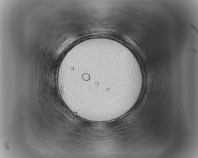 X0000102251259200808221345
